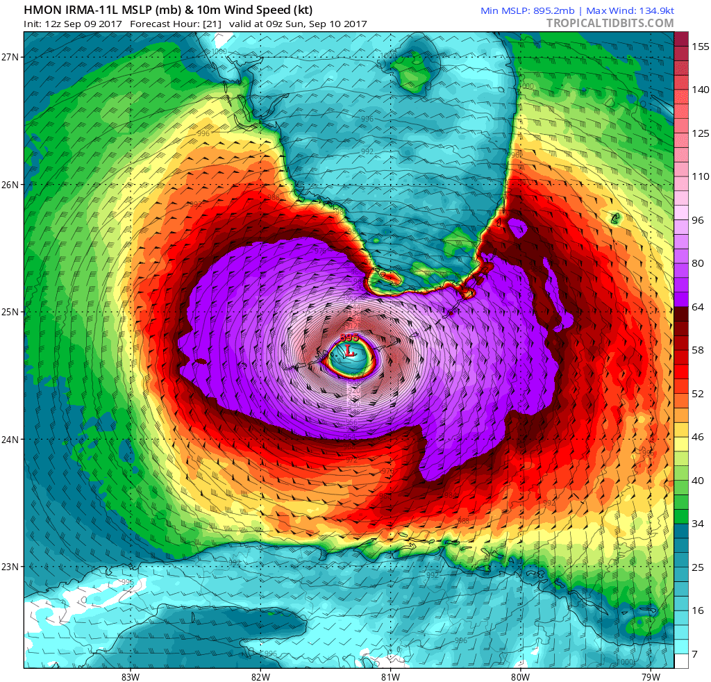 hmon mslp wind 11L 8